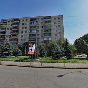 Mynaiska vulytsia, 25, Uzhhorod: photo