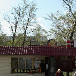 Kommunisticheskiy Avenue, 53/1, Rostov‑na‑Donu: photo