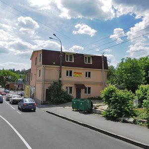 Vulytsia Kniaziv Koriatovychiv, 66 ، : صورة