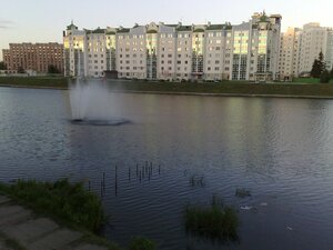 Naberezhnaya Dubrovinskogo, 74, Orel: photo