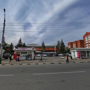 Kalinina Street, 93, Penza: photo