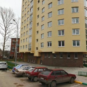 Vologdina Street, 1Б, Nizhny Novgorod: photo