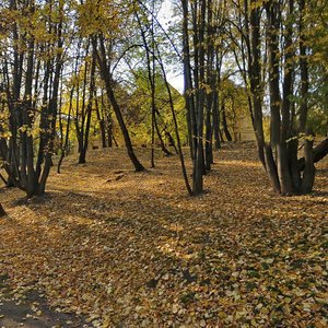 Lyublinskaya Street, 55, : foto