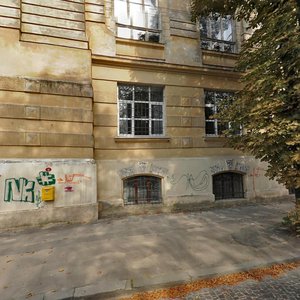 Snopkivska vulytsia, 47, Lviv: photo