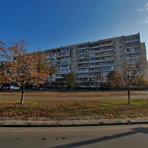 Zoi Haidai Street, 10, Kyiv: photo