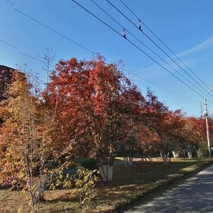 Kosmonavtov Avenue, 15 ، بارناول: صورة