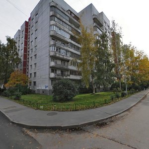 Korablestroiteley Street, 29к4, Saint Petersburg: photo