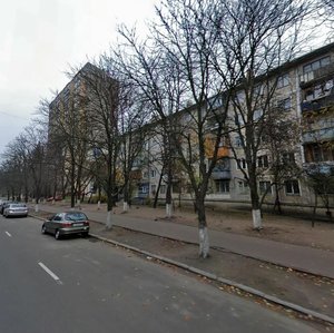 Heroiv Sevastopolia Street, 17, Kyiv: photo