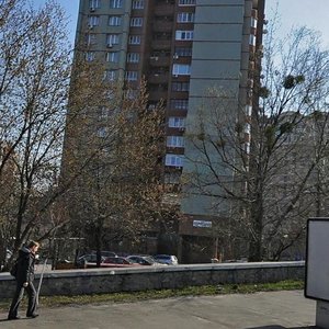 Staronavodnytska Street, 6А, Kyiv: photo