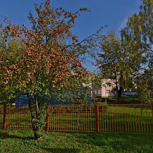 Prytyckaga Street, 14, Minsk: photo