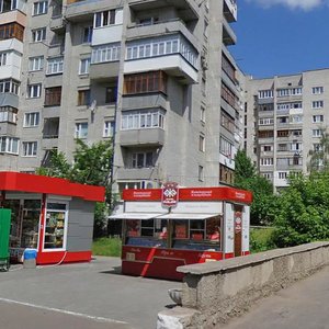 Vulytsia Lesi Ukrainky, 13А, Zhytomyr: photo