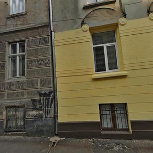 Vulytsia Nechuia-Levytskoho, 15, Lviv: photo