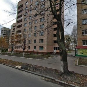 Mikhaila Boichuka Street, 40А, Kyiv: photo