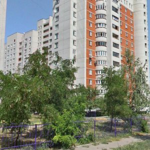 Moskovskiy Avenue, 117А, Voronezh: photo