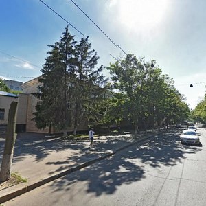 Blahovishchenska Street, 25, Kharkiv: photo