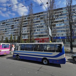 Velyka Vasylkivska Street, 145/1, Kyiv: photo