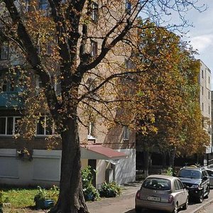 Vasylia Tiutiunnyka Street, 47 ، كييف: صورة