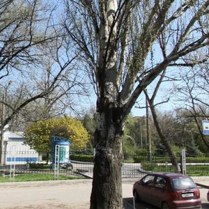 Mechnikova Street, 43к1 ، روستوف نا دونو: صورة