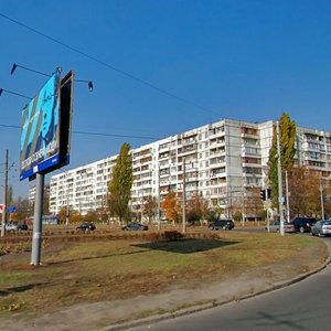 Marshala Tymoshenka Street, 3, Kyiv: photo