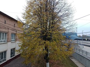 Ryazhskaya Street, 10, Tula: photo