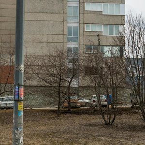 Furmanova Street, 107, Yekaterinburg: photo