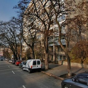 Bastionna Street, 15, Kyiv: photo