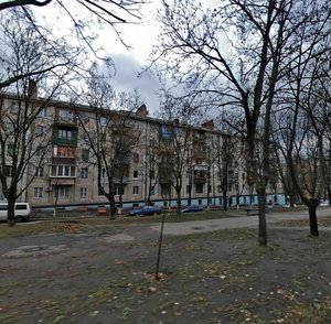 Marii Pryimachenko Boulevard, 8, Kyiv: photo