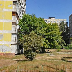 Kalynova Street, 98, Dnipro: photo