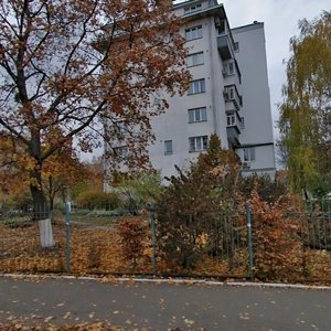 Vasylia Zhukovskoho Lane, 10, Kyiv: photo