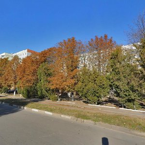 Vulytsia Dorofieieva, 8А, Kherson: photo