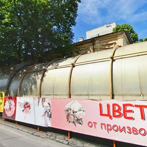 Stavropol, Pushkina Street, 11: foto