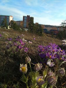 112-y mikrorayon, 16Г, Ulan‑Ude: photo