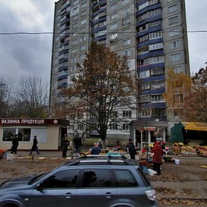 Marshala Yakubovskoho Street, 3, Kyiv: photo