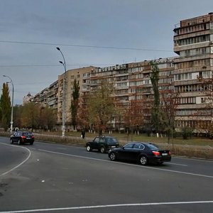 Marshala Tymoshenka Street, 2Г, Kyiv: photo