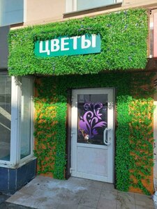 Bakunina Street, 50, : foto