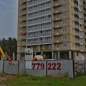 Raskolnikova Street, 79А ، نابريجني تشيلني: صورة