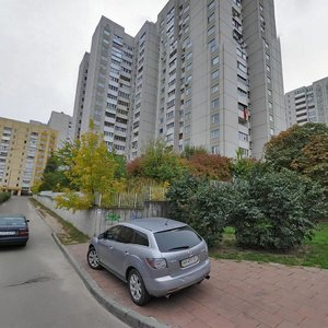 Ivana Puliuia Street, 5Б, Kyiv: photo