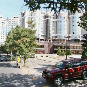 Dostyk Avenue, 132, Almaty: photo