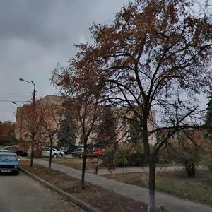 Chervonotkatska Street, 2, Kyiv: photo