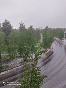 Pechorskiy Avenue, 20, Pechora: photo