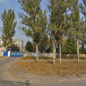 Kosmichna vulytsia, 125, Zaporizhia: photo