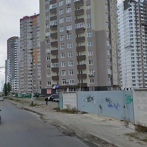 Mykoly Lavrukhina Street, 6, Kyiv: photo
