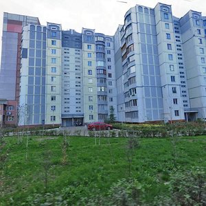 Vulytsia Ponomarova, 18А, Irpin: photo