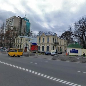 Viacheslava Chornovola Street, 28/1к2, Kyiv: photo