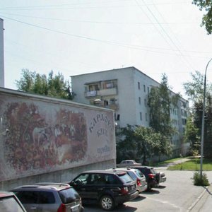 Bazhova Street, 223, Yekaterinburg: photo