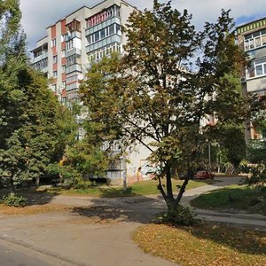 Prospekt Myru, 215, Chernihiv: photo