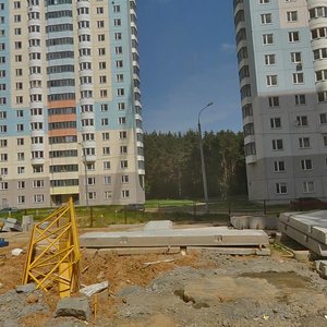 Chistyakovoy Street, 80, Odincovo: photo