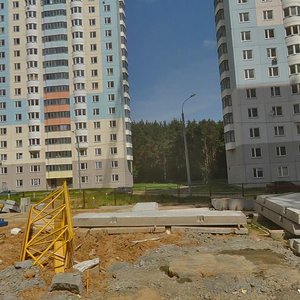 Chistyakovoy Street, No:80, Odintsovo: Fotoğraflar