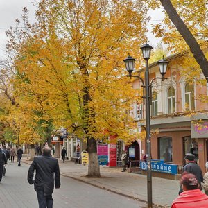 Саратов, Проспект имени Петра Столыпина, 24: фото