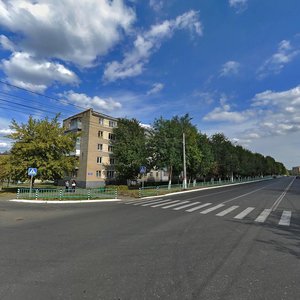 Ulyanova Street, 85, Saransk: photo